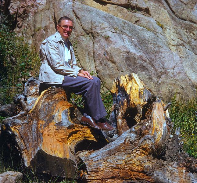 0150-Hellbusch on stumps.jpg - Pastor Hellbusch.  Rocky Mountains, Colorado.
